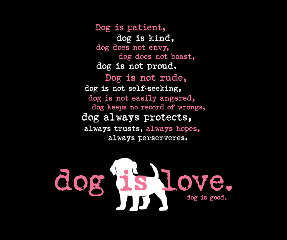 dog is patient facebook post