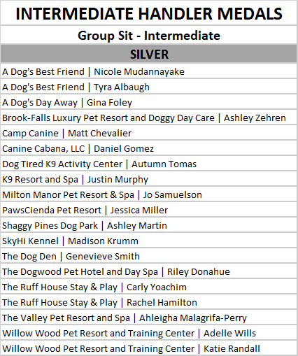 intermediate group sit silver