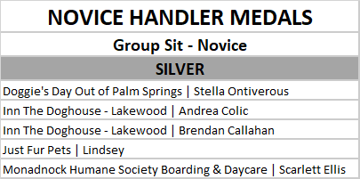 novice group sit silver