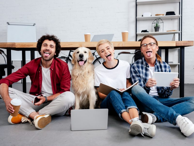 How to Motivate and Engage your Pet Care Team - The Dog Gurus