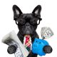 Budget Planning for Your Pet Business