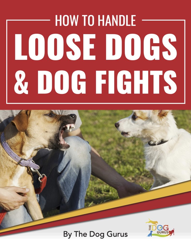 How to Handle Loose Dogs and Dog Fights V2