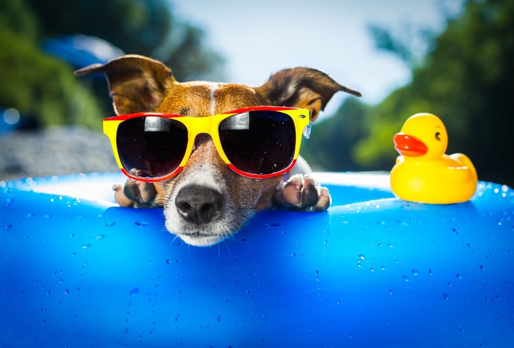 Maximize Your Summer Busy Season
