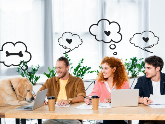Check Out Some Of Our Favorite Products For Your Pet Care Business 