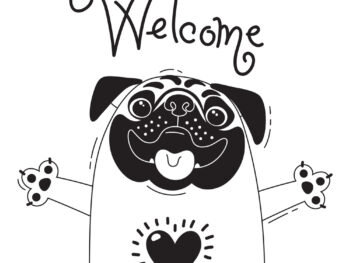 Onboarding Staff in Your Pet Business