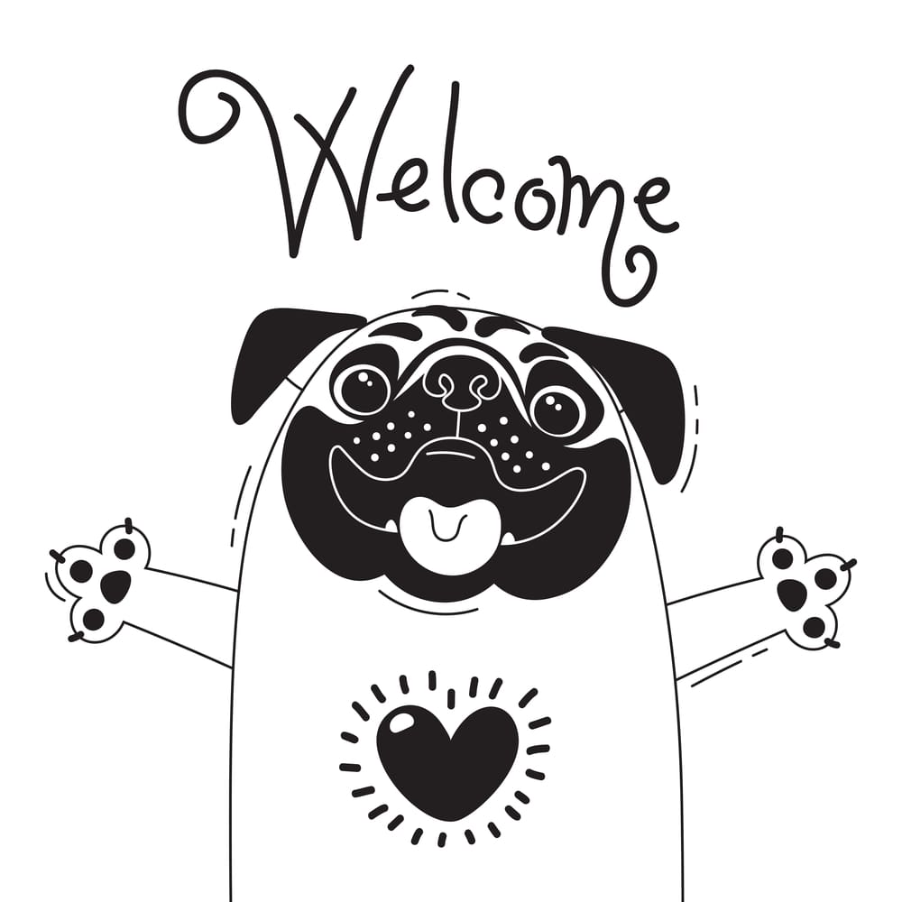 Onboarding Staff In Your Pet Business The Dog Gurus