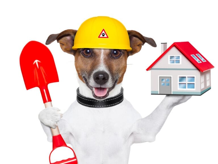 How To Maximize The Physical Space In Your Facility The Dog Gurus