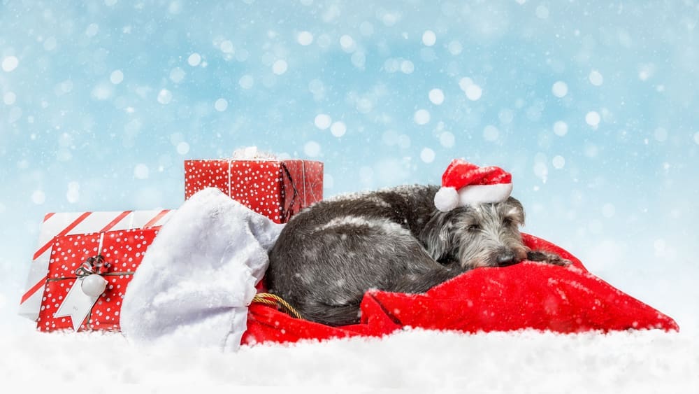Getting Your Staff Ready for the Holidays Getting Your Staff Ready for the Holidays
