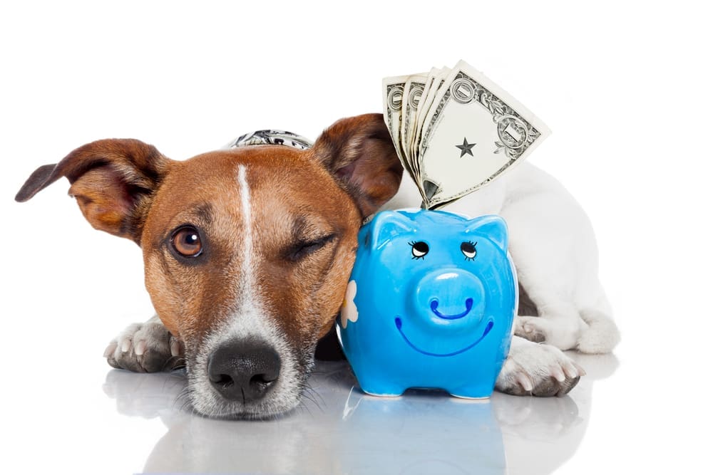 The Fastest Way to Make More Revenue For Your Business The Fastest Way to Make More Revenue For Your Business