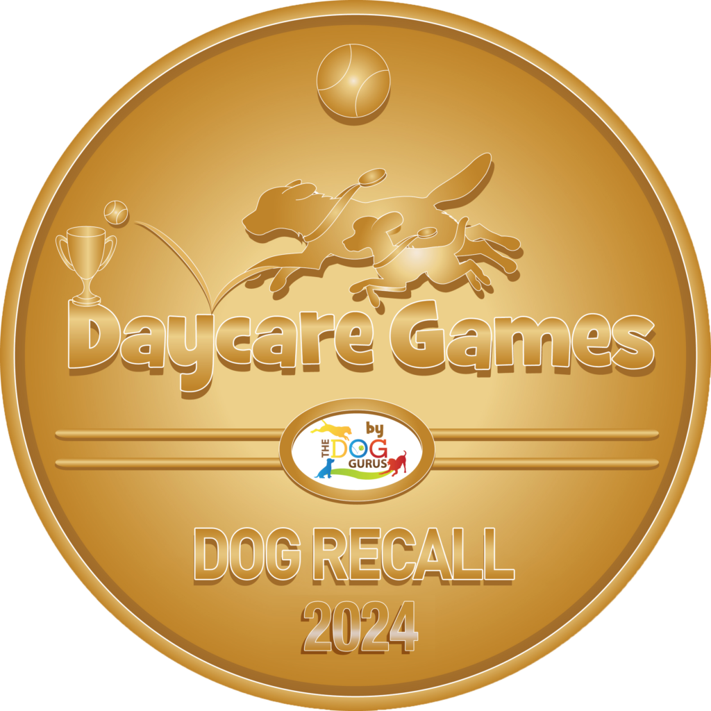 2024 Medals for Event 1 Recall The Dog Gurus