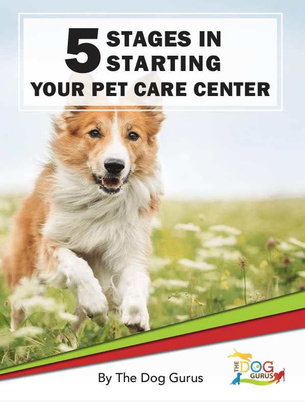 5 stages in starting your pet career