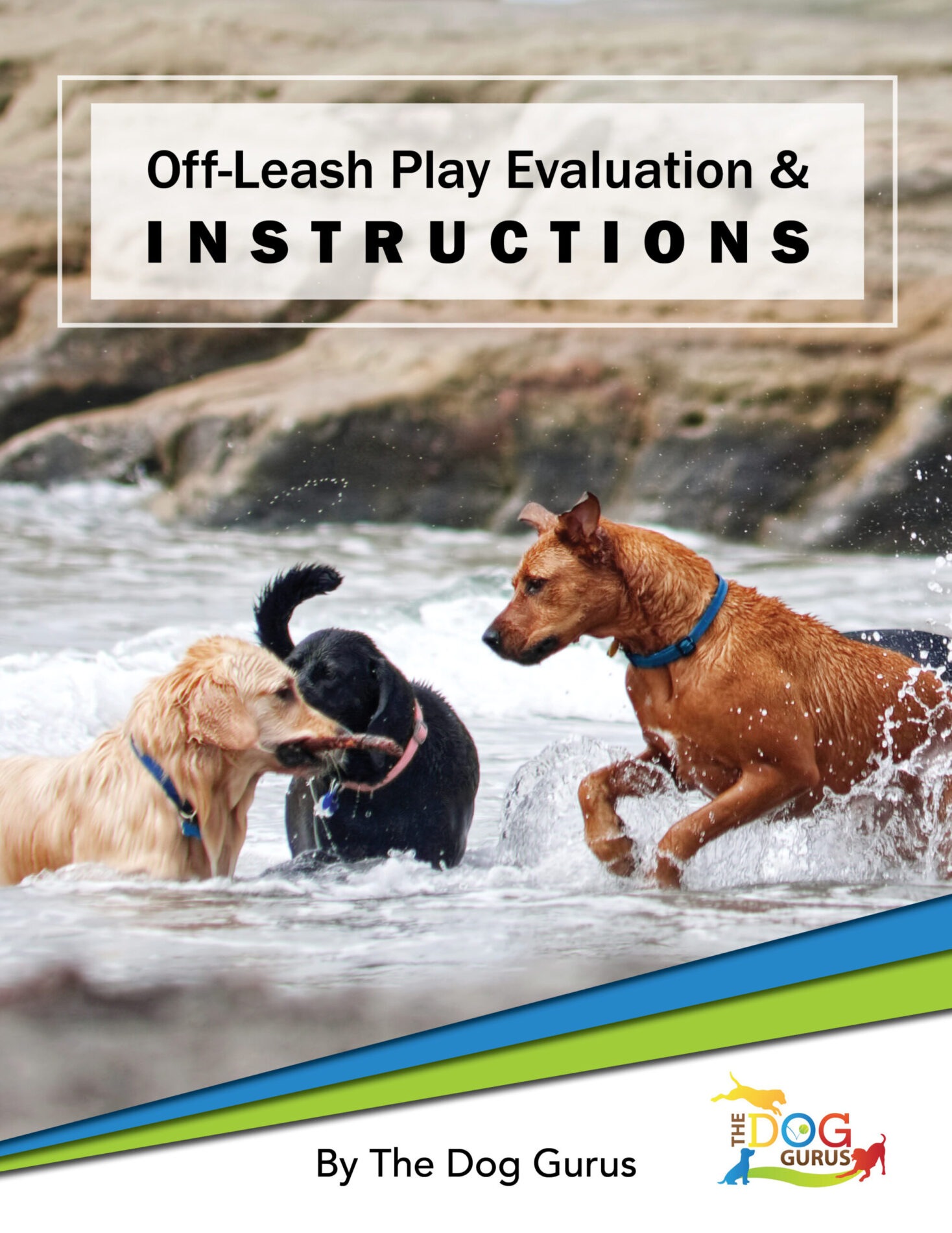 Dog Evaluations Checklist & Instructions