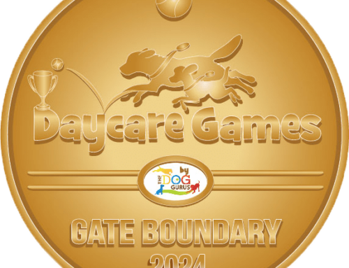 2024 Medals for Event 3: Gate Boundary