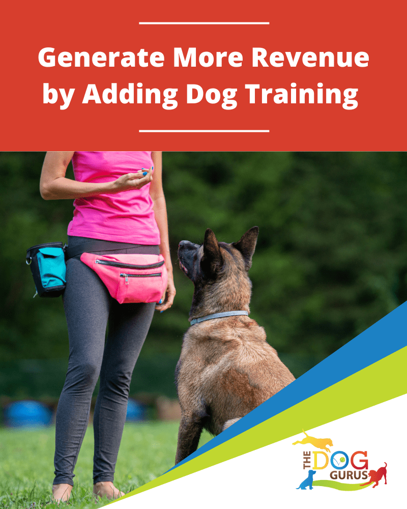 Generate More Revenue by Adding Dog Training Generate More Revenue by Adding Dog Training