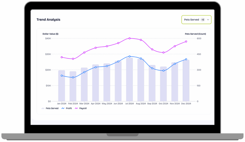 Screenshot of a graphical trend analysis showing variation in revenue and profit