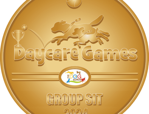 2024 Medals for Event 2: Group Sit