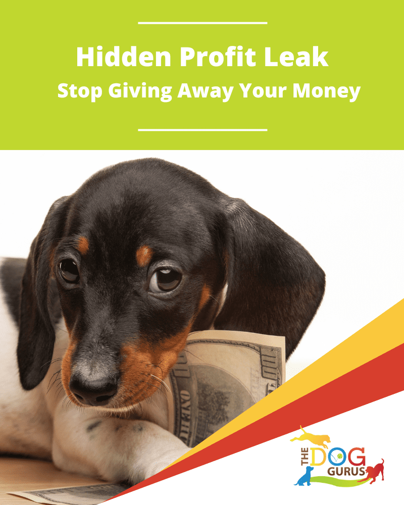 Hidden Profit Leak – Opt In Cover