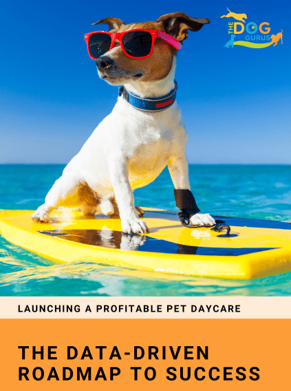 Launching a profitable pet daycare