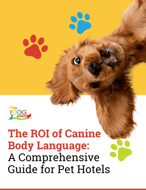 ROI of Canine Body Language