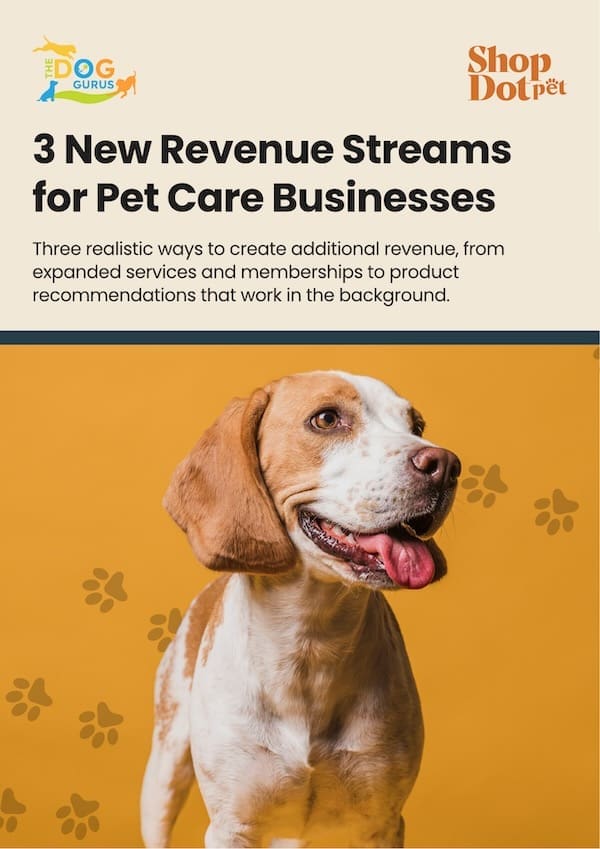 Three New Revenue Streams cover image