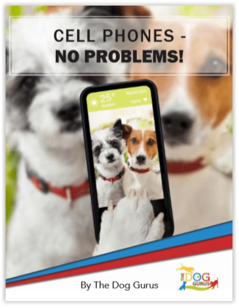 cell phones.jpg