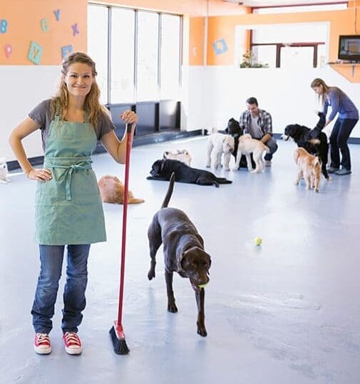Woman at dog daycare facility wearing an apron and sweeping the floor