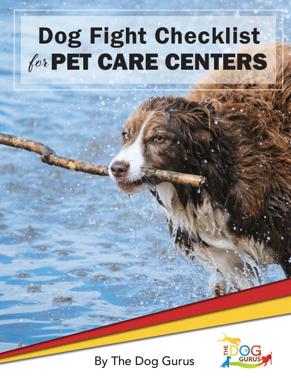 https-::keap.page:tz203:dog-fight-checklist.html Dog fight checklist