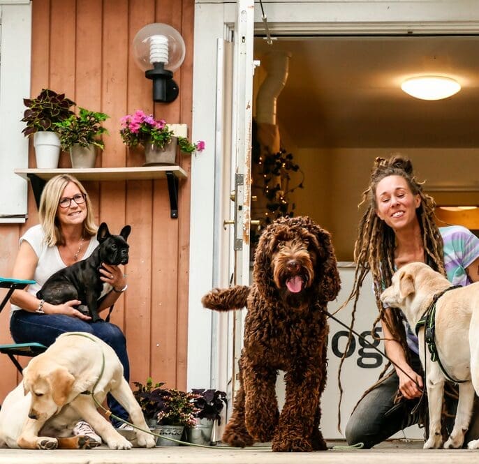 launch-petcare-biz-image2