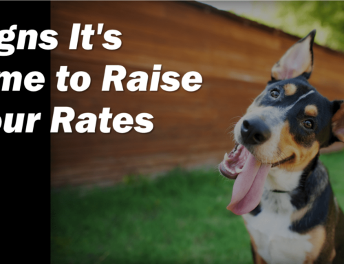 When to Wag Your Tail for a Price Hike (Part 1): Signs It’s Time to Raise Your Rates