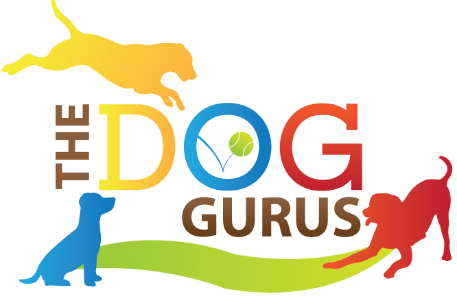 The Dog Gurus logo - Your Premier Destination for Expert Pet Care Training and Solutions